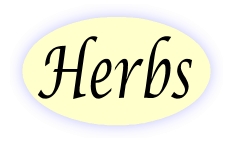 Herbs